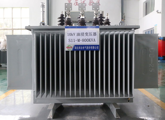 浙江10kV油浸變壓器S11-M-800KVA